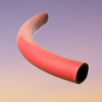 Product Image for Industrivattenslang 50mm/5m                                           